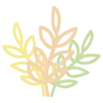 Illustration2