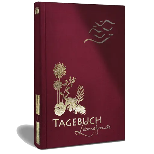 sich-in-minuten-besser-fuehlen-luca-dankbarkeitstagebuch-luca-rohleder-isbn-9783982303260 Sich in Minuten besser fühlen, Buchempfehlung