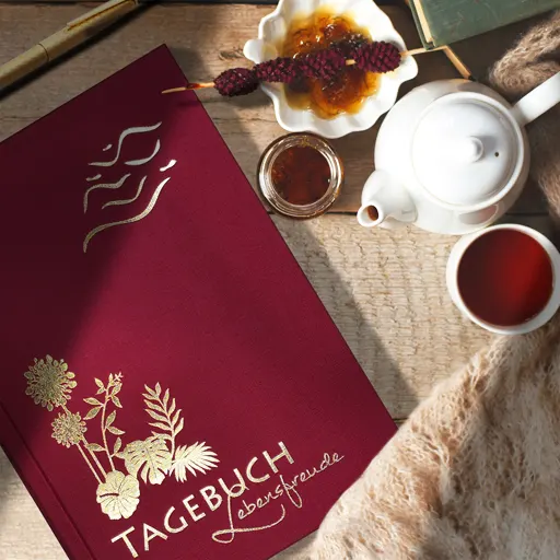 Journale und Tagebücher, Sich in Minuten besser fuehlen