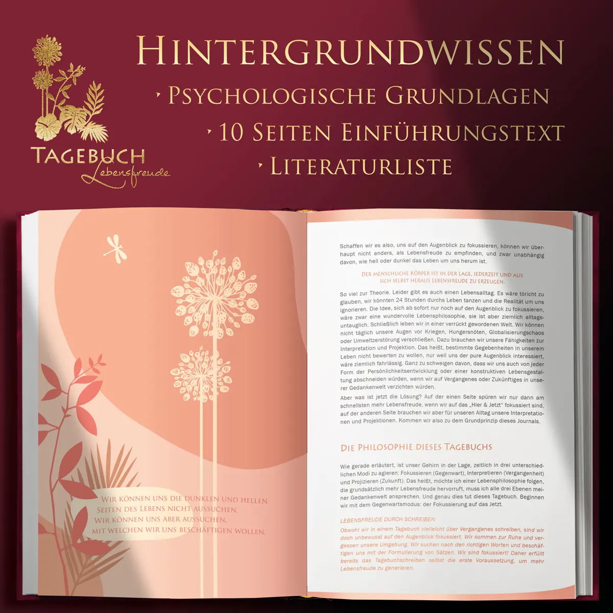 sich-in-minuten-besser-fuehlen-luca-dankbarkeitstagebuch-isbn-9783982303260-Bild04 Sich in Minuten besser fühlen, Dankbarkeitstagebuch, Bild04